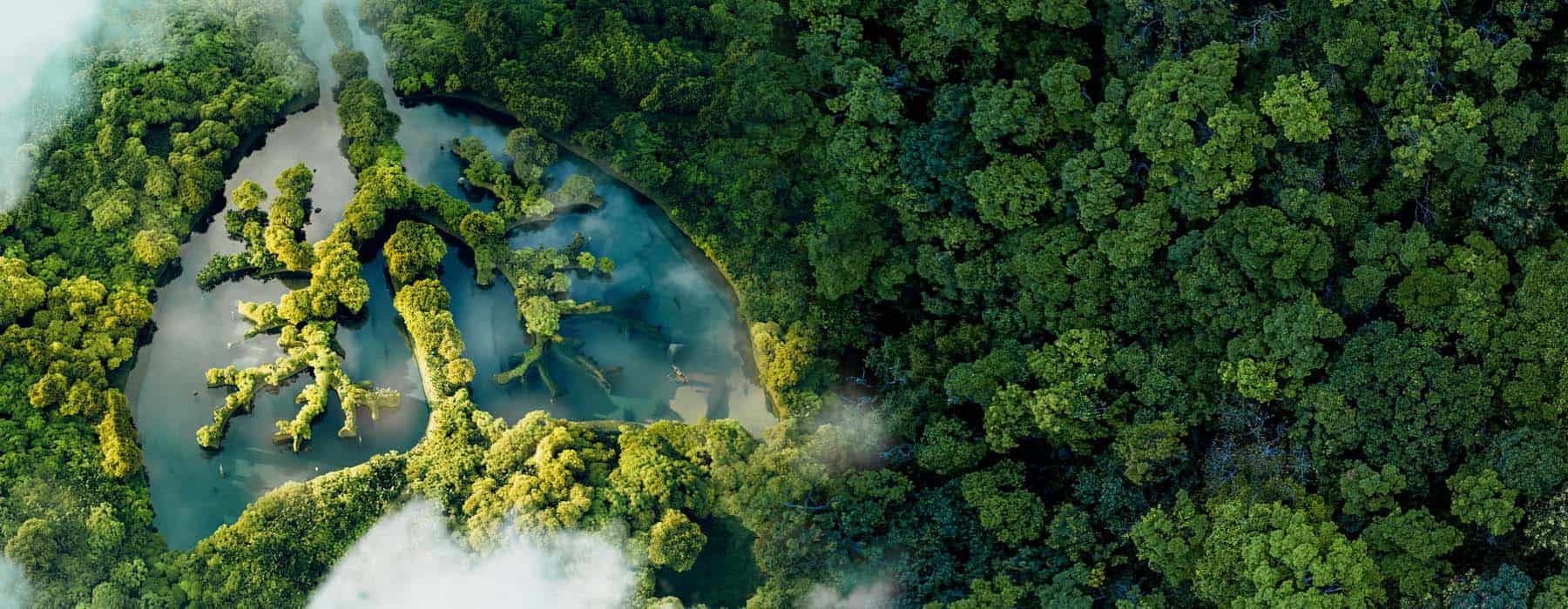 Yamoa - Natural Lasting Relief