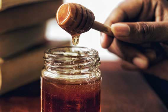 Take the powder mixed in honey -