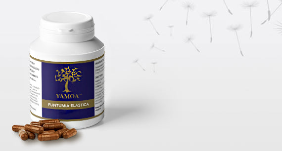 Respiratory support - Yamoa