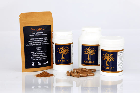 Yamoa Funtumia elastica yamoa powder 120 capsules 60 capsules Food supplement respiratory health Asthma Hay-fever relief Natural Sample pack