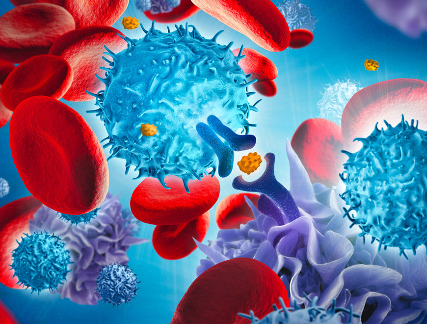 T Cells - your Body's Natural Alarm System – The Official Yamoa™ Website